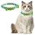Cute Cat Collar Kitten Safety Breakaway Collar with Bell Adjustable Soft Collars for Small Cats Pet Products Necklace Decor