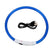B Pet Dog LED Collar - Dog Loss Prevention Collar - Adjustable Collar - Safe USB Charging Collar - Pet Supplies for Use at Night