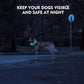 B Pet Dog LED Collar - Dog Loss Prevention Collar - Adjustable Collar - Safe USB Charging Collar - Pet Supplies for Use at Night
