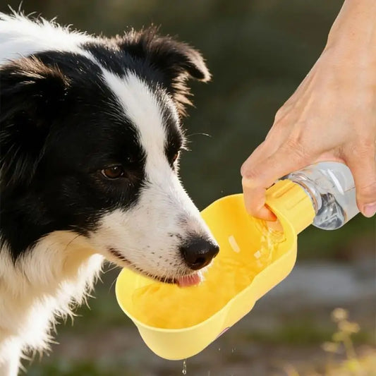 Pet Water Bottle For Dog And Cats Water Container Watering Cup For Breeds Outdoor Travel And Daily Walking B03E