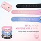 Cats Necklace Stuff Pet Collars Harnesses and Leashes the Goods Accessories Kittens Belt Harness Collar Puppy Products